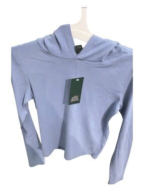 wild fable Light Blue Hooded Long Sleeve Top